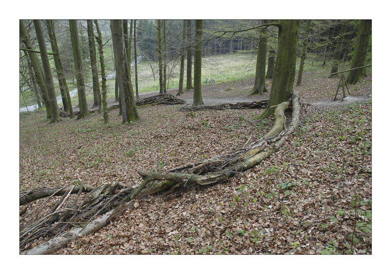 Astrein_0094