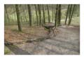 Astrein_0100