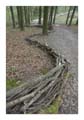 Astrein_h096